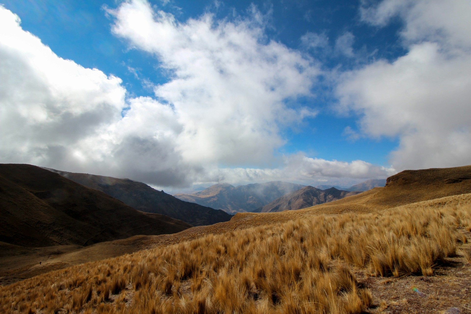 Golden highland grasslands beneath a dramatic sky in the Peruvian Andes.